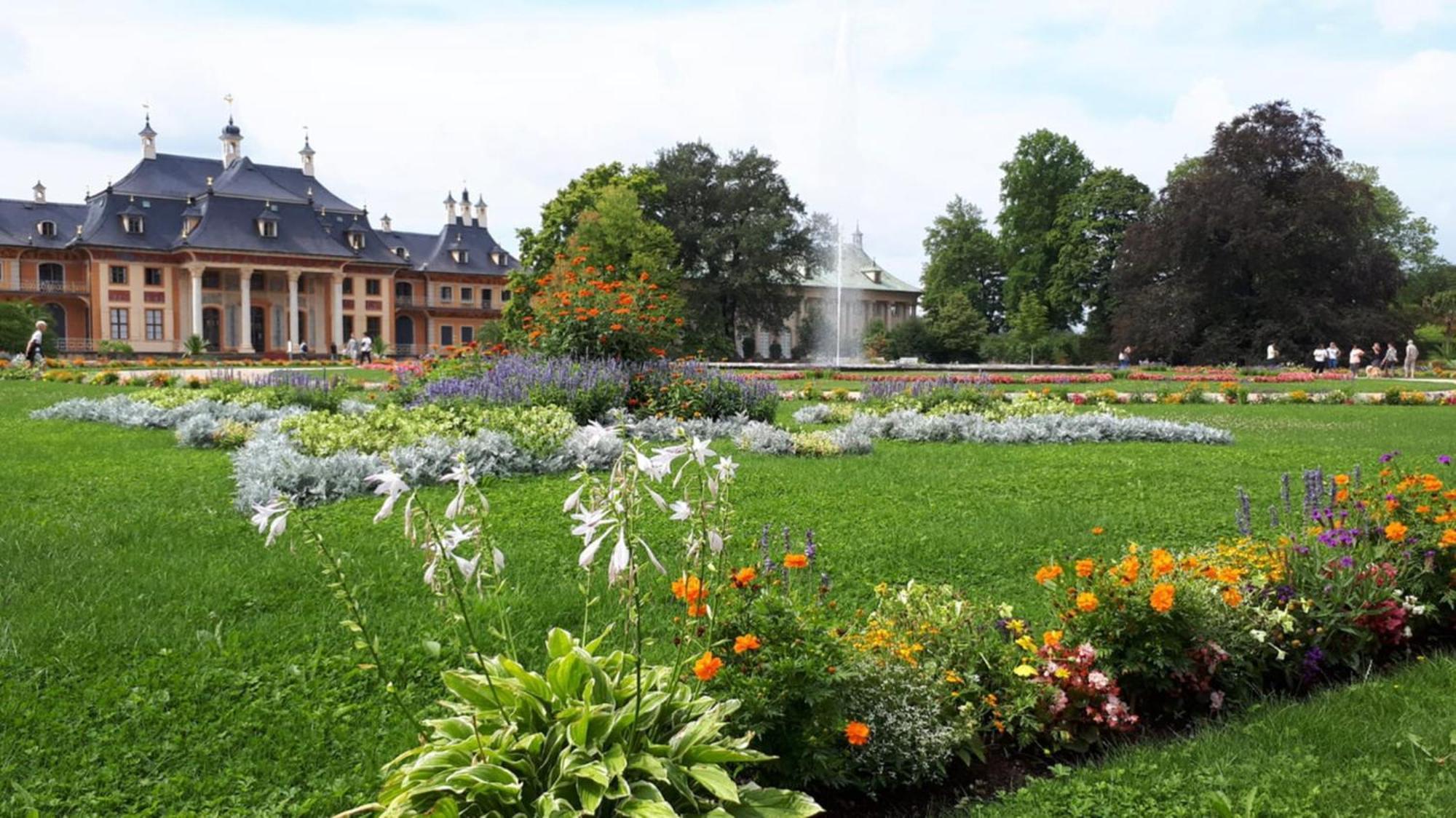Ferienwohung In Dresden Am Elbhang Exteriér fotografie