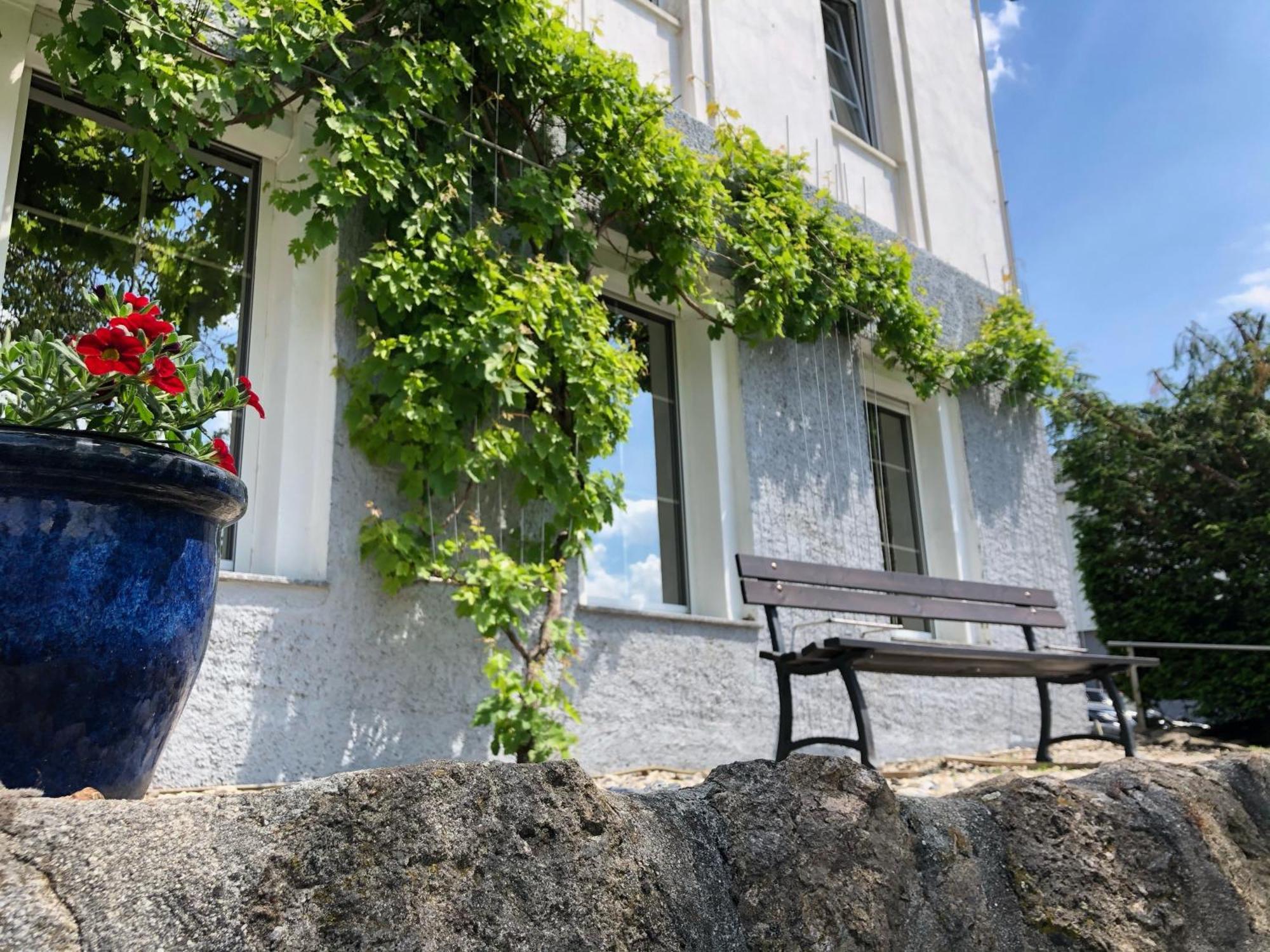 Ferienwohung In Dresden Am Elbhang Exteriér fotografie