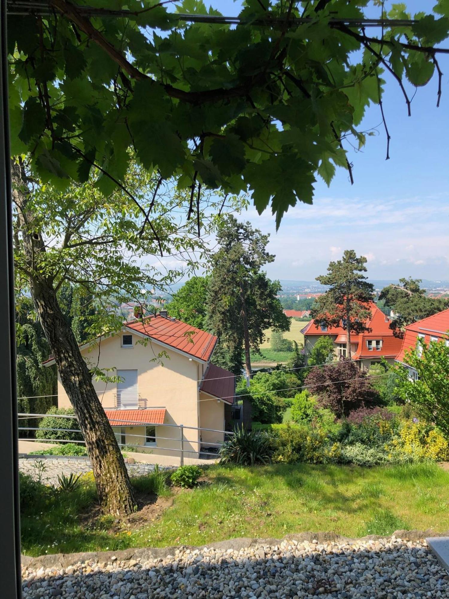 Ferienwohung In Dresden Am Elbhang Exteriér fotografie